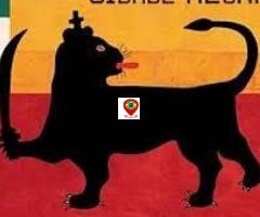 CD. GRANDES SUCESSO CIDADE NEGRA